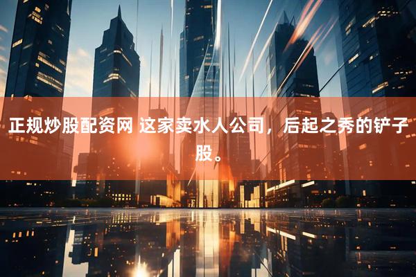 正规炒股配资网 这家卖水人公司，后起之秀的铲子股。