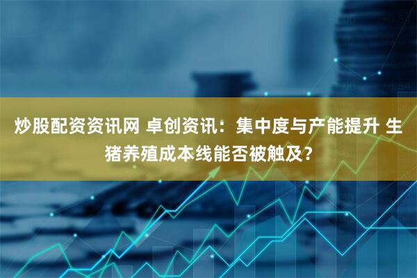 炒股配资资讯网 卓创资讯：集中度与产能提升 生猪养殖成本线能否被触及？